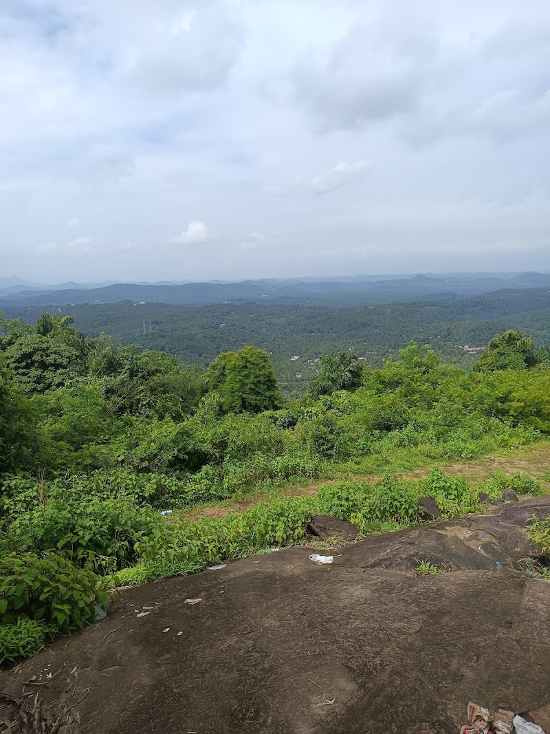 Cloud Walk Homestay