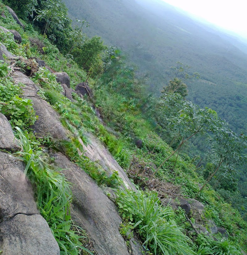 Cheruppadimala view point