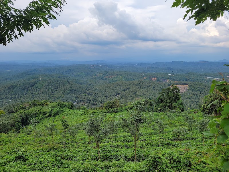 Mini Ooty