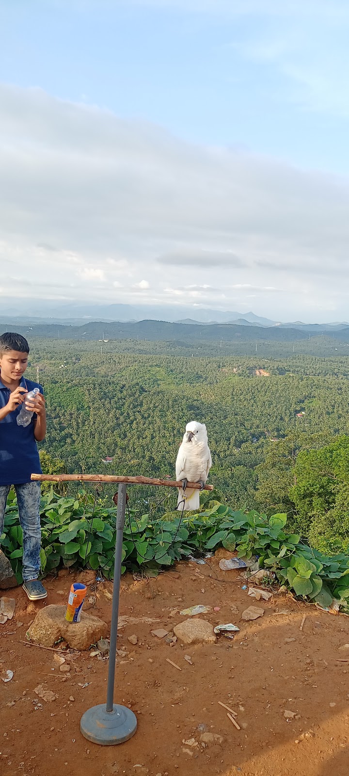 Mini Ooty